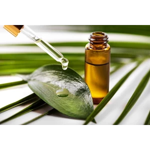 Cara Memilih Penyedia Maklon Minyak Kayu Putih yang Tepat untuk Bisnis Anda: Panduan Lengkap dari PT Haecho Cell Beautque Manis